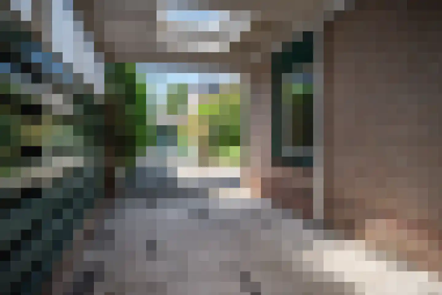 Beukenlaan 247 Bleiswijk thumbnail 42