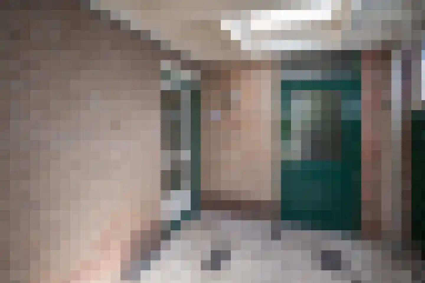 Beukenlaan 247 Bleiswijk thumbnail 43