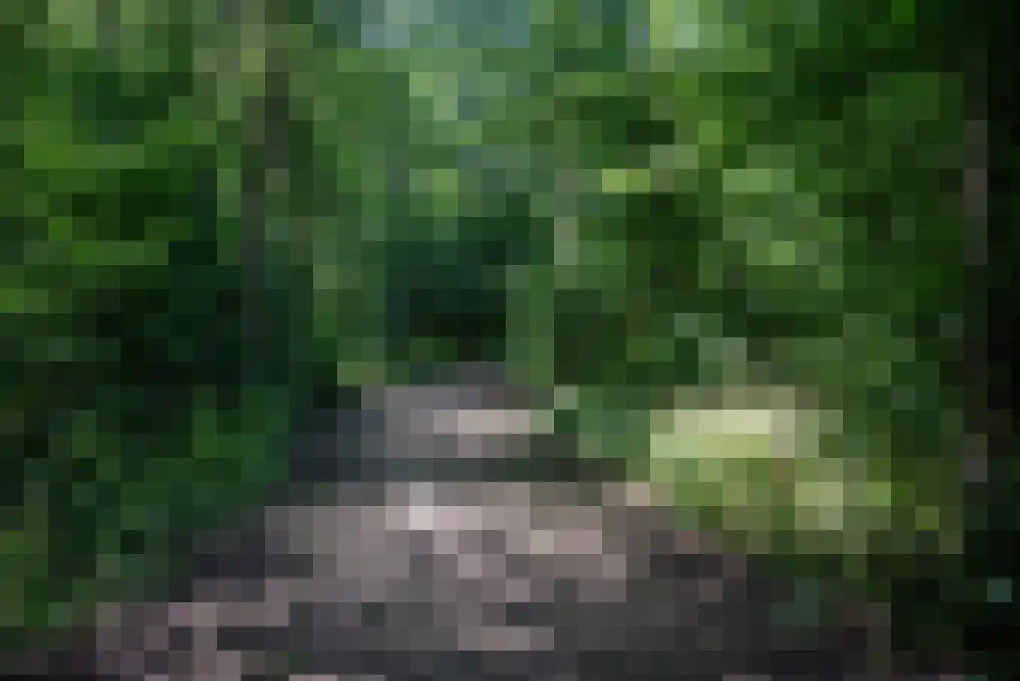 Beukenlaan 247 Bleiswijk thumbnail 50