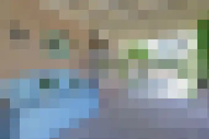 Beukenlaan 249 Bleiswijk thumbnail 30
