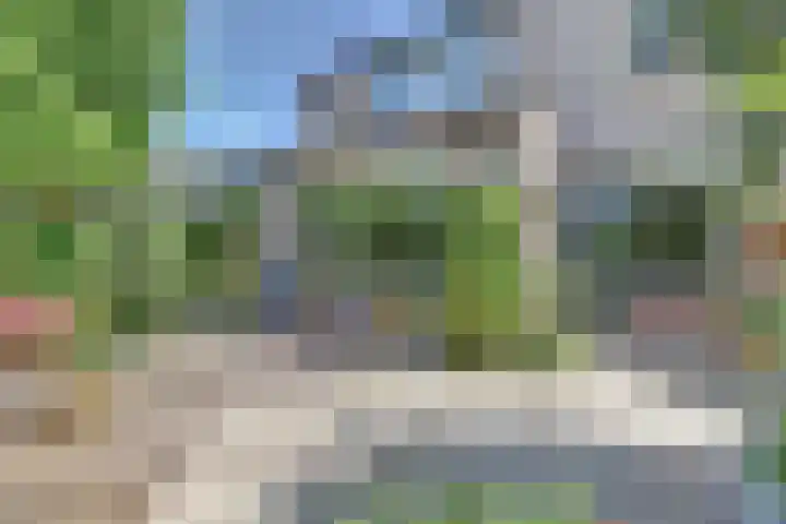 Beukenlaan 249 Bleiswijk thumbnail 31