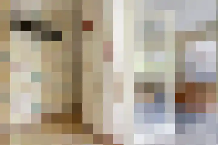 Beukenlaan 249 Bleiswijk thumbnail 7