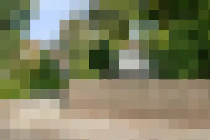 Beukenlaan 25 Dronten thumbnail 10