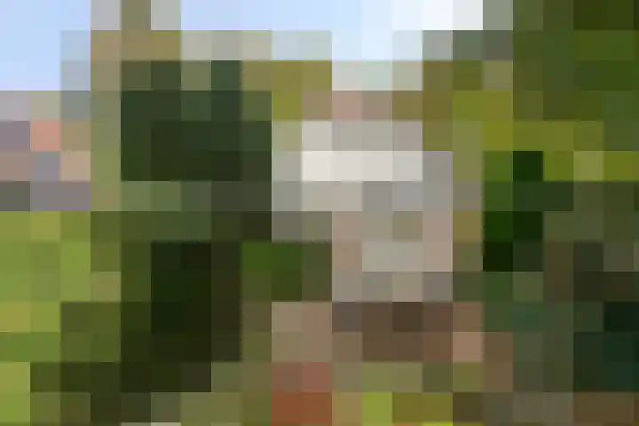 Beukenlaan 25 Dronten thumbnail 11