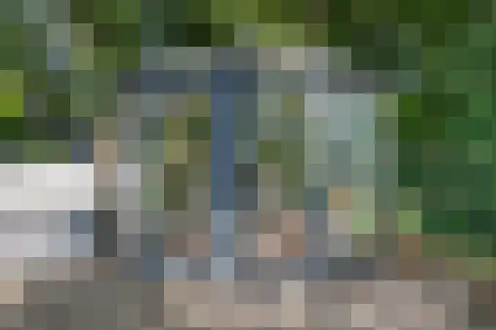 Beukenlaan 25 Dronten thumbnail 48