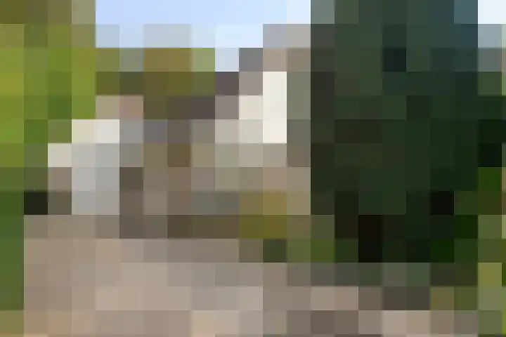 Beukenlaan 25 Dronten thumbnail 5