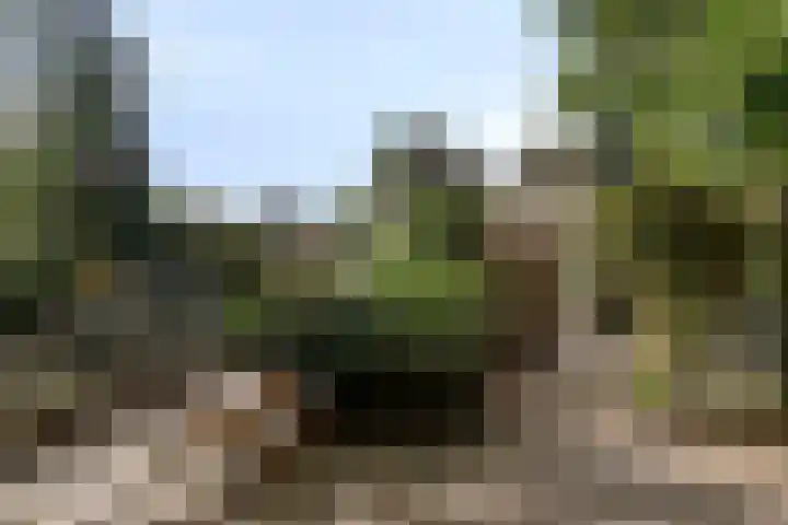 Beukenlaan 25 Dronten thumbnail 50