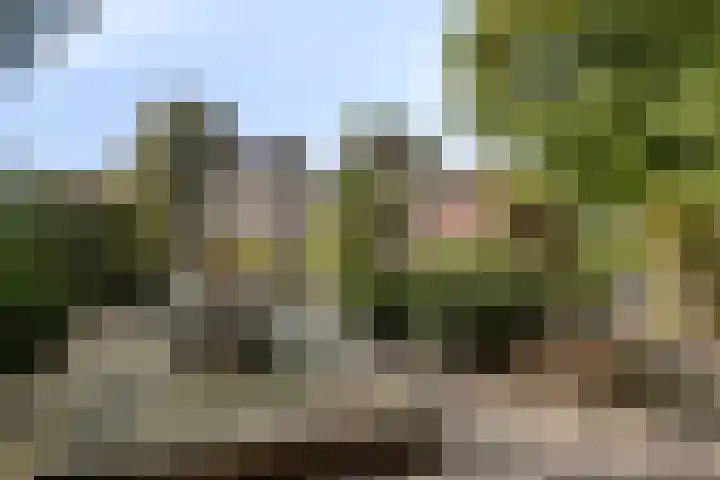 Beukenlaan 25 Dronten thumbnail 51