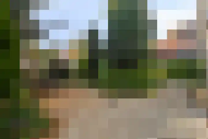 Beukenlaan 25 Dronten thumbnail 55