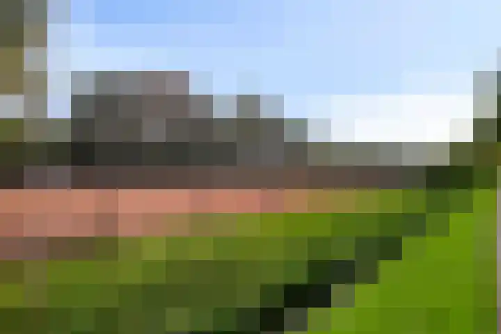 Beukenlaan 25 Dronten thumbnail 57