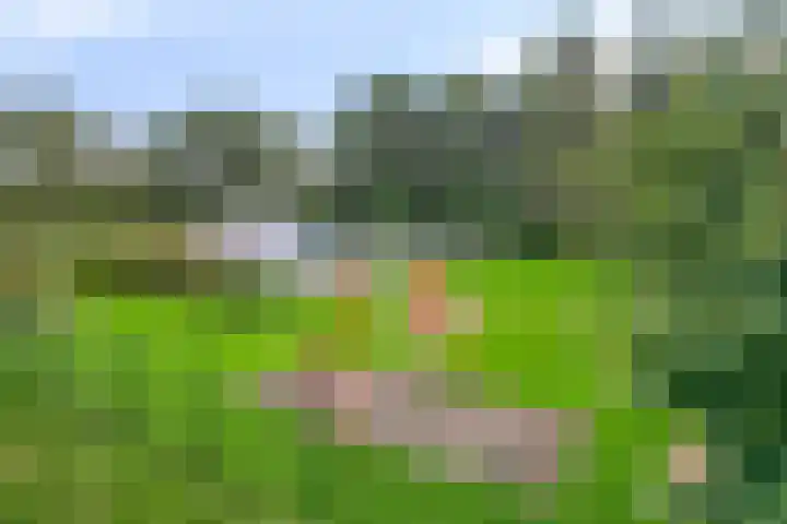 Beukenlaan 25 Dronten thumbnail 58