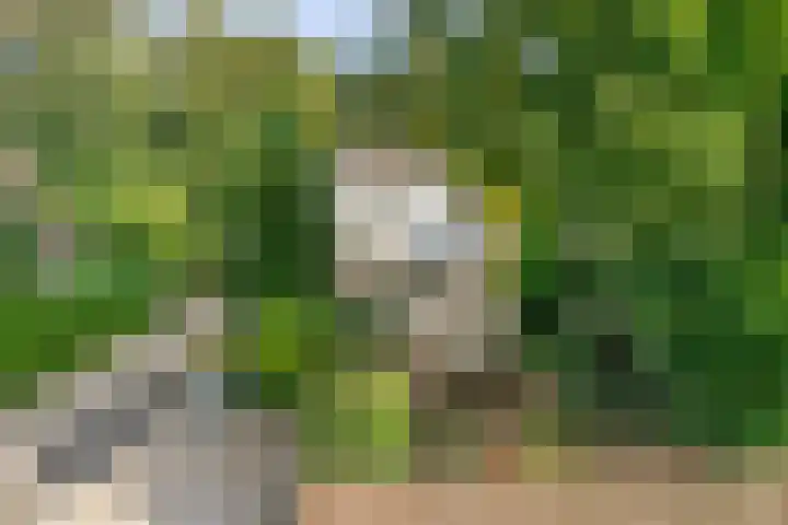 Beukenlaan 25 Dronten thumbnail 6