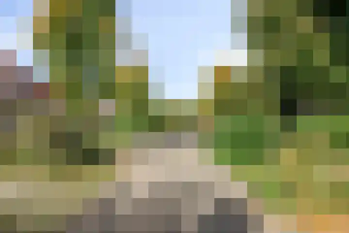Beukenlaan 25 Dronten thumbnail 7