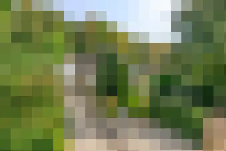 Beukenlaan 25 Dronten thumbnail 9