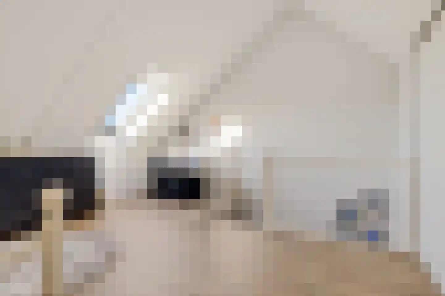 Beukenlaan 25 Woudenberg thumbnail 27