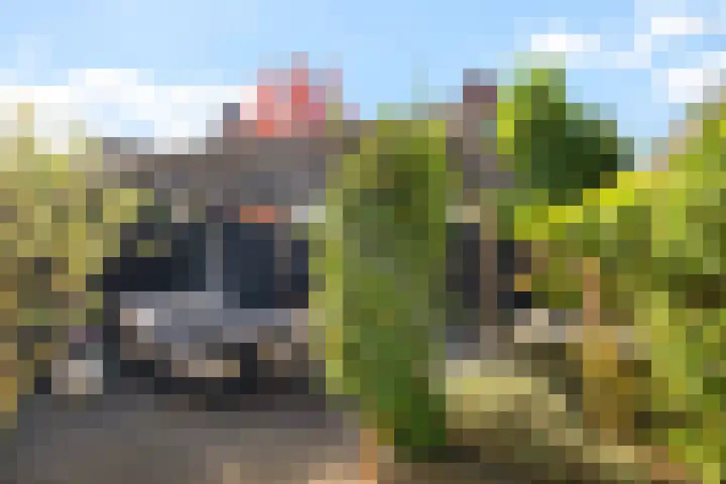 Beukenlaan 25 Woudenberg thumbnail 28