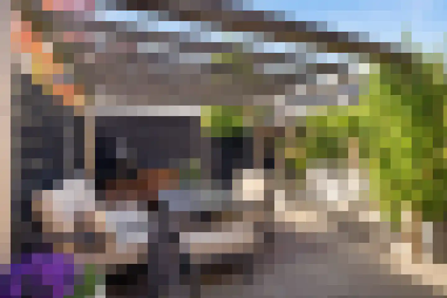Beukenlaan 25 Woudenberg thumbnail 29