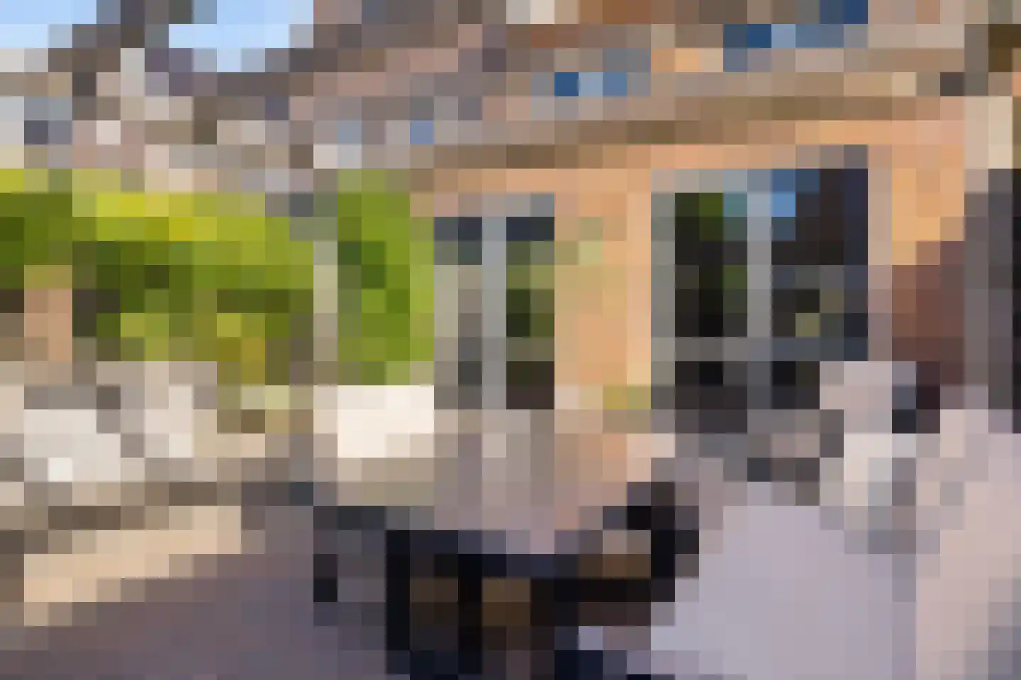 Beukenlaan 25 Woudenberg thumbnail 30