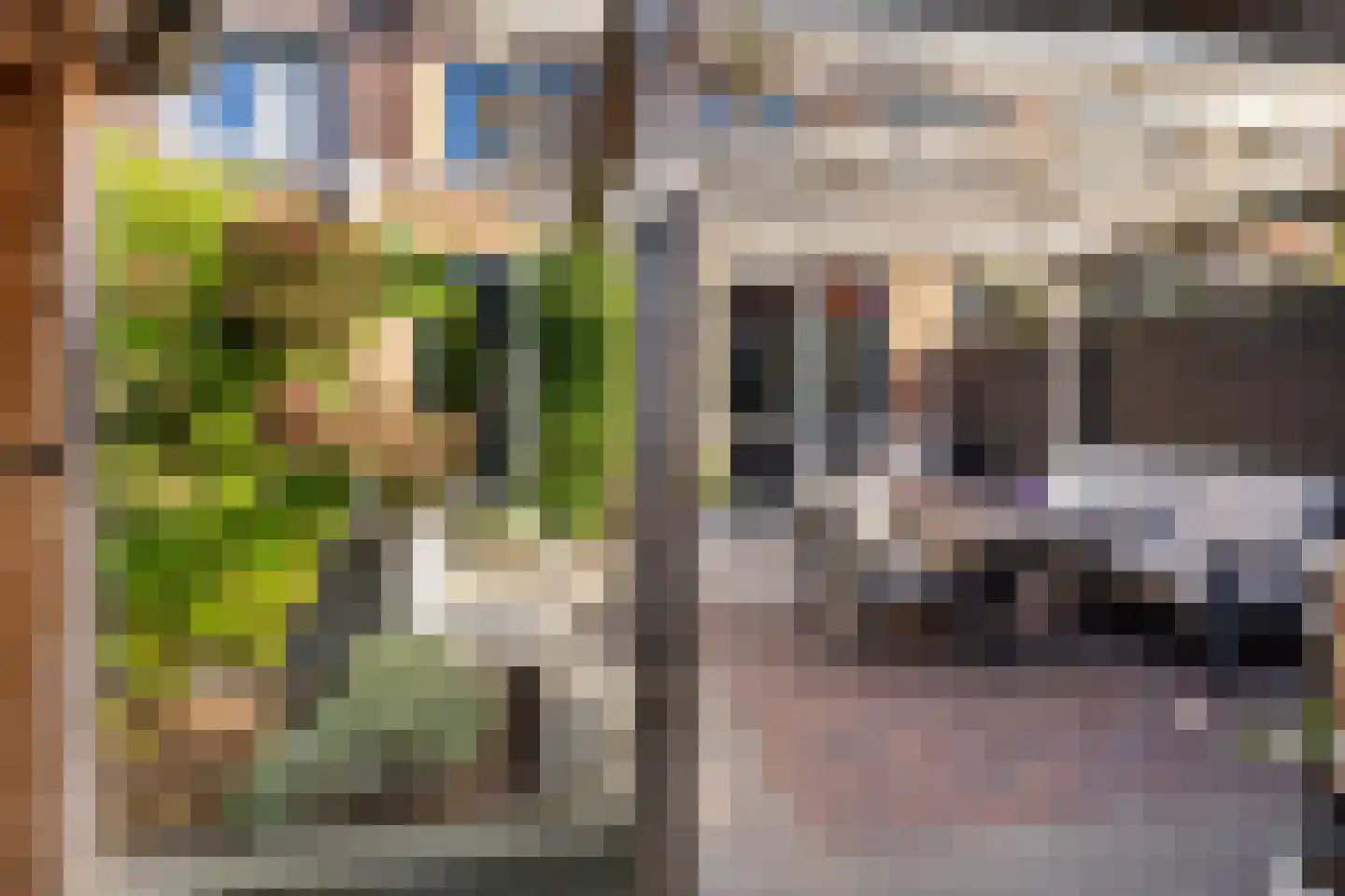 Beukenlaan 25 Woudenberg thumbnail 32