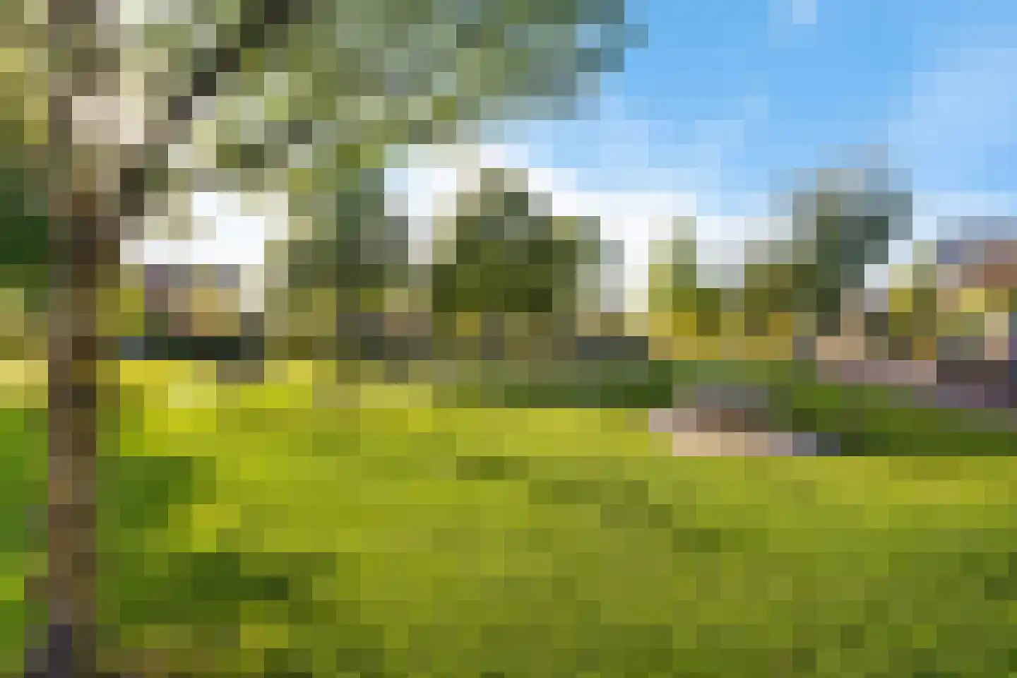 Beukenlaan 25 Woudenberg thumbnail 36