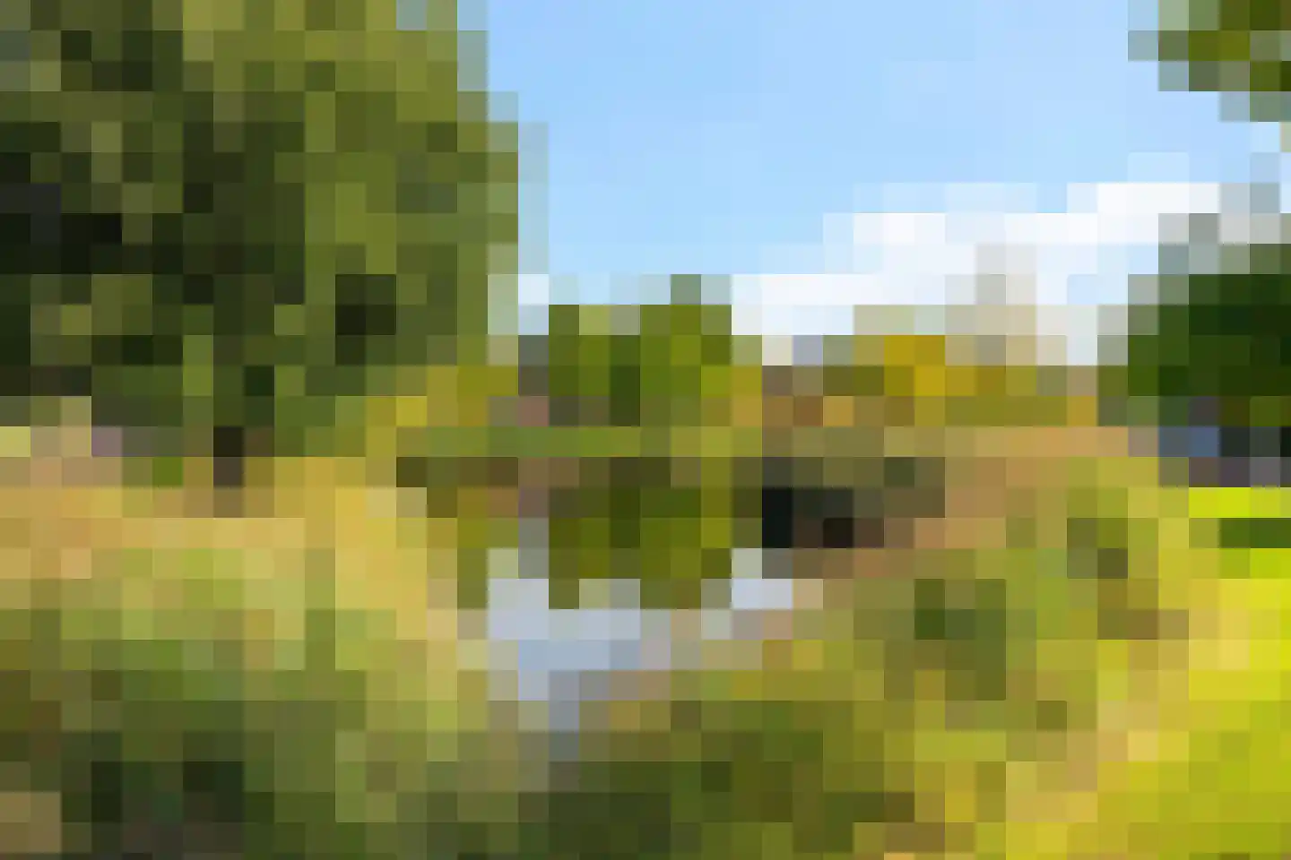 Beukenlaan 25 Woudenberg thumbnail 37