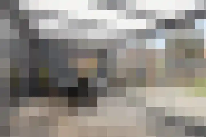 Beukenlaan 26 Reusel thumbnail 12