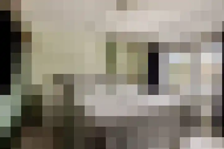 Beukenlaan 26 Reusel thumbnail 15
