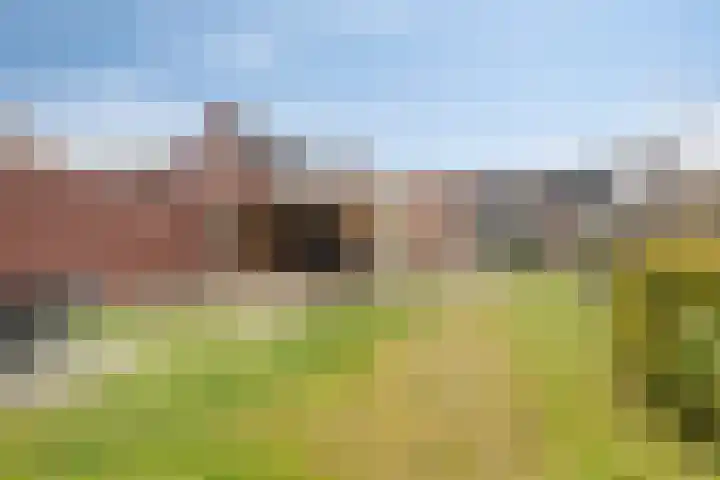 Beukenlaan 26 Reusel thumbnail 26