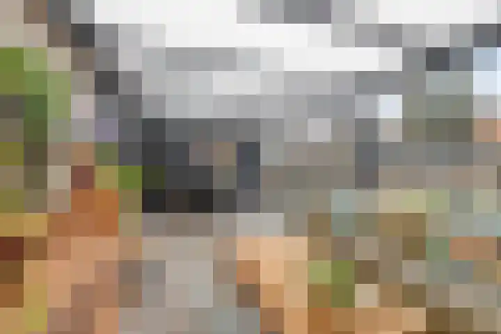 Beukenlaan 26 Reusel thumbnail 4
