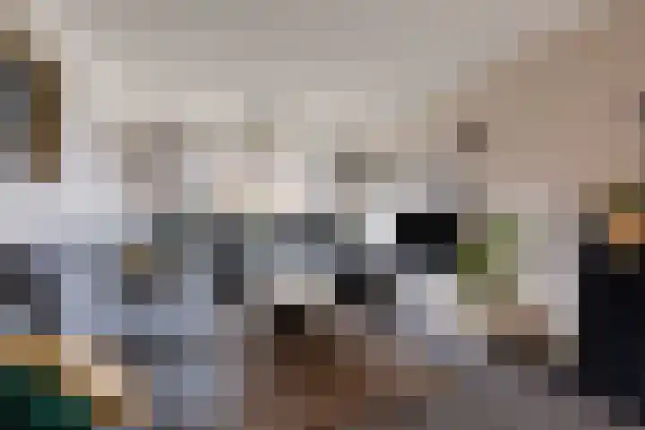Beukenlaan 26 Reusel thumbnail 6