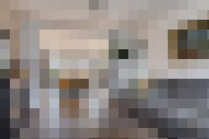 Beukenlaan 26 Reusel thumbnail 7