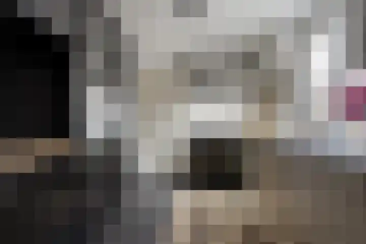 Beukenlaan 26 Reusel thumbnail 8
