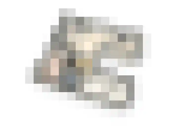 Beukenlaan 27 Fijnaart thumbnail 4