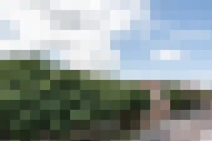 Beukenlaan 27 Rozenburg thumbnail 12