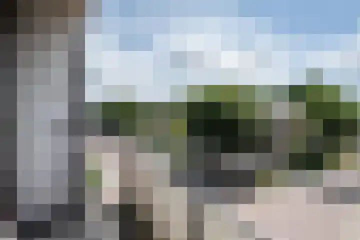 Beukenlaan 27 Rozenburg thumbnail 13