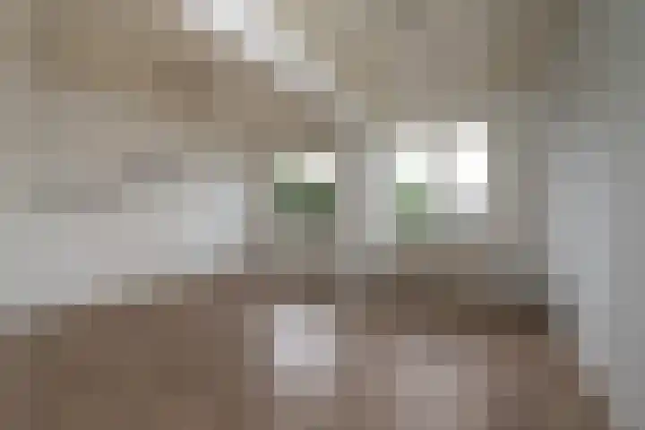 Beukenlaan 27 Rozenburg thumbnail 17