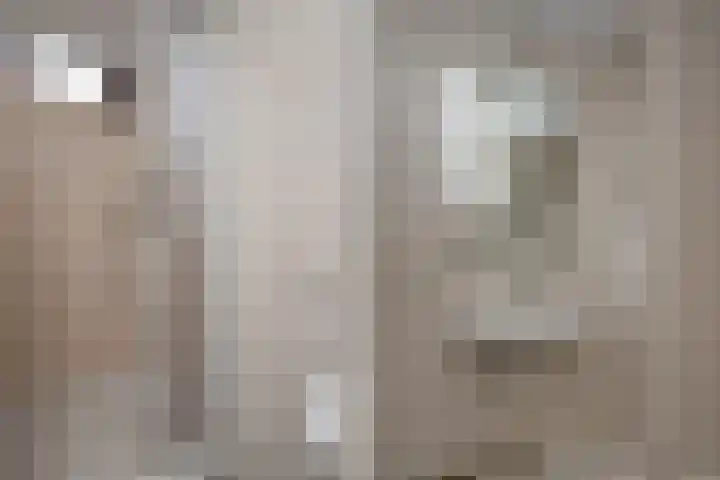 Beukenlaan 27 Rozenburg thumbnail 22