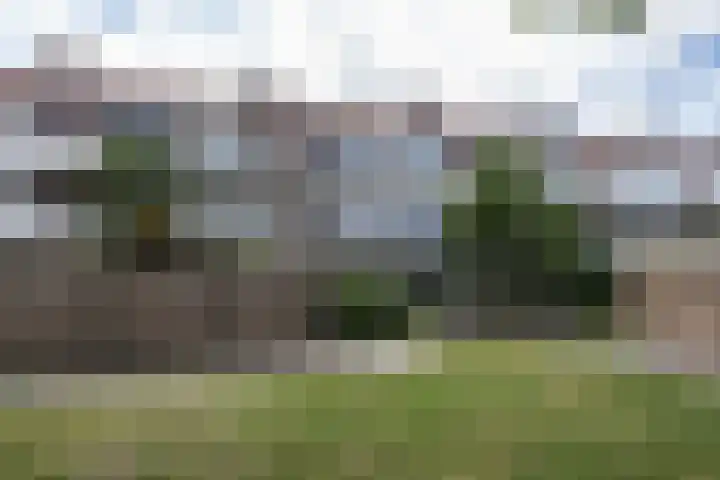 Beukenlaan 27 Rozenburg thumbnail 29