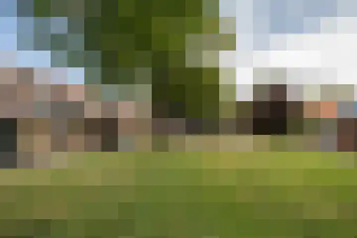 Beukenlaan 27 Rozenburg thumbnail 30