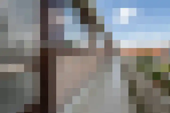 Beukenlaan 27 Rozenburg thumbnail 4