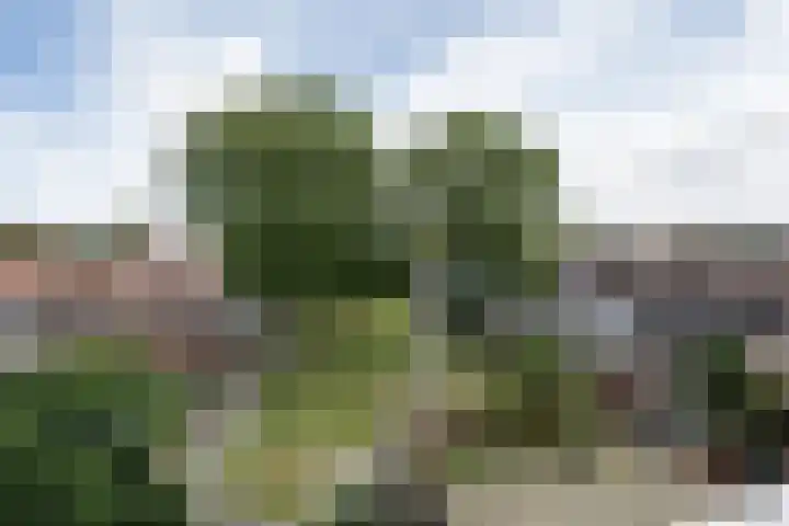 Beukenlaan 27 Rozenburg thumbnail 5