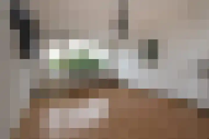 Beukenlaan 27 Rozenburg thumbnail 6