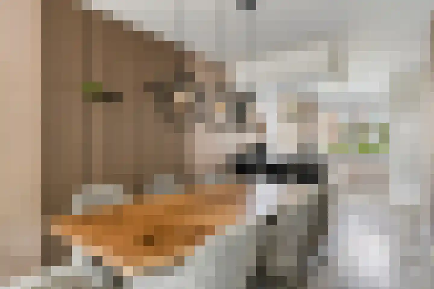 Beukenlaan 27 Woudenberg thumbnail 10