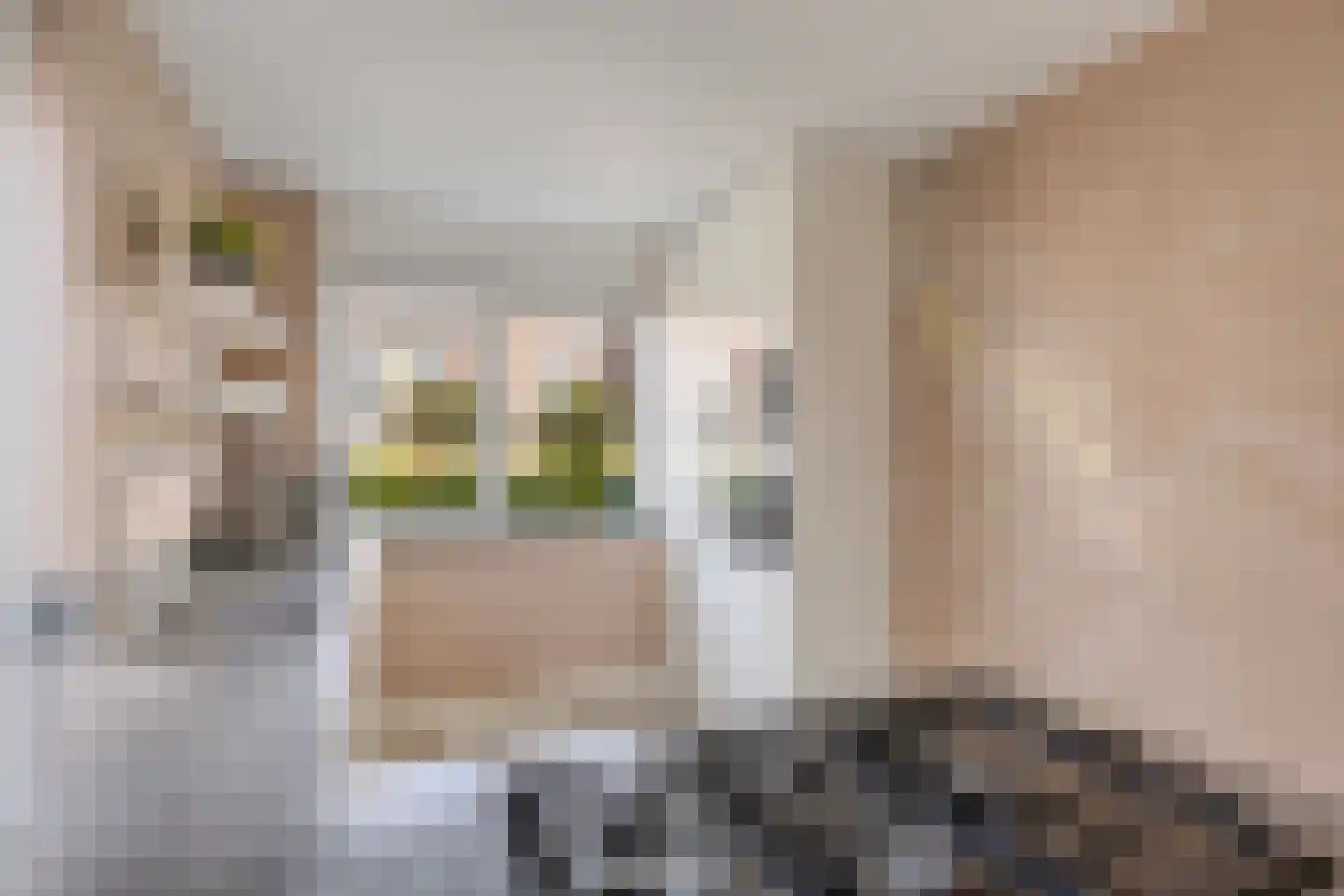Beukenlaan 27 Woudenberg thumbnail 11