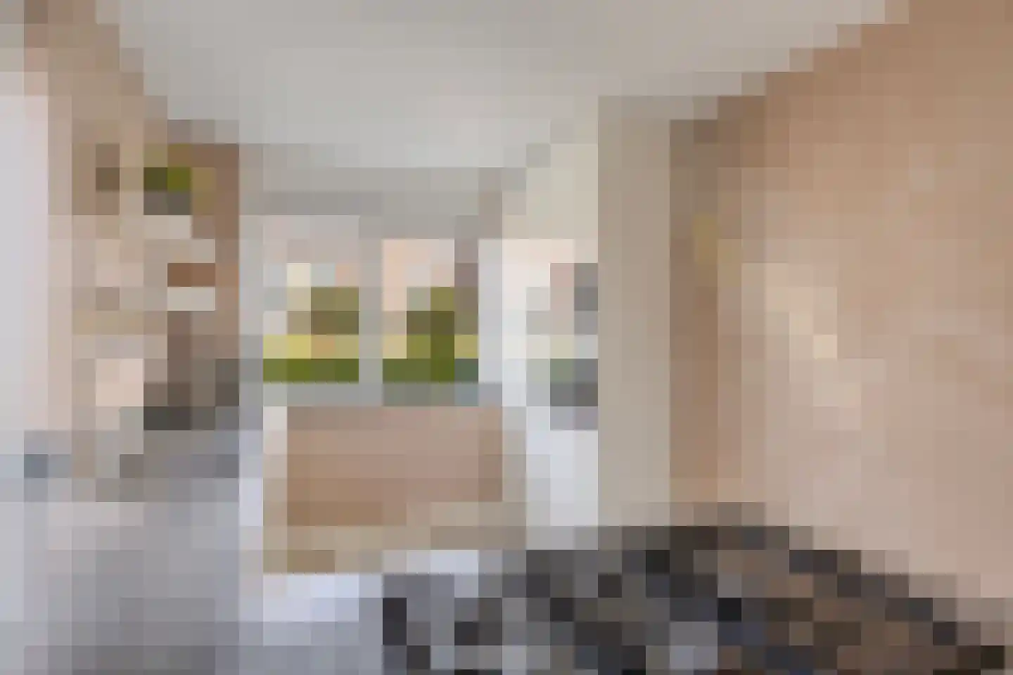 Beukenlaan 27 Woudenberg thumbnail 11