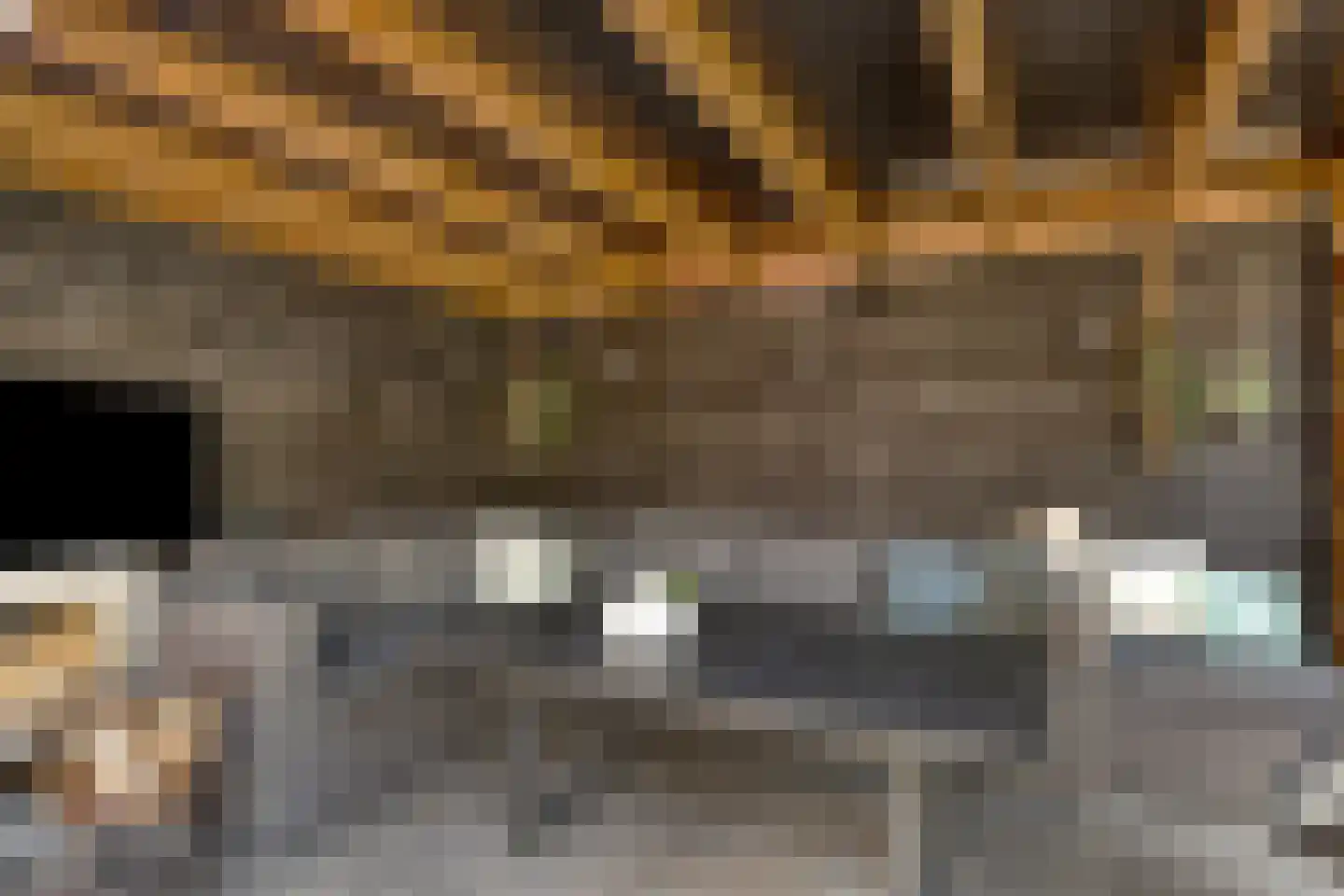Beukenlaan 27 Woudenberg thumbnail 32