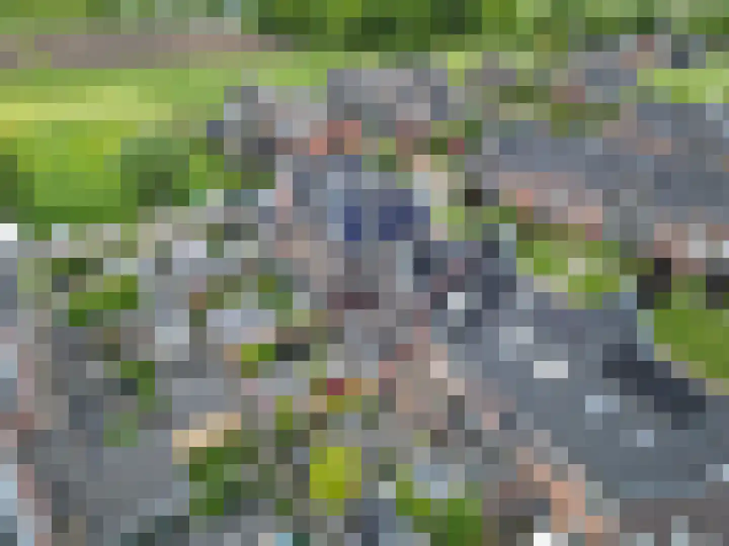 Beukenlaan 27 Woudenberg thumbnail 4
