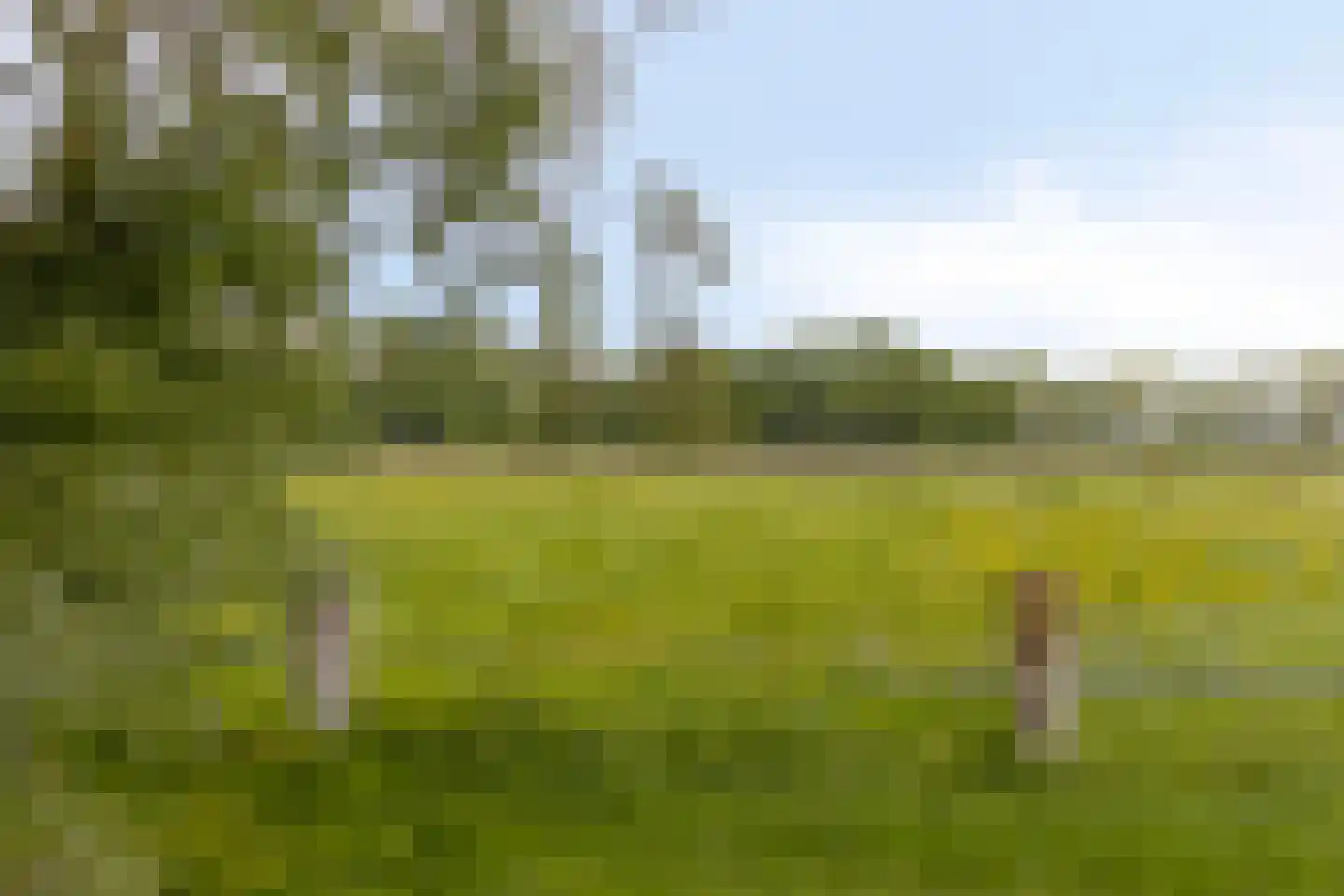 Beukenlaan 27 Woudenberg thumbnail 41