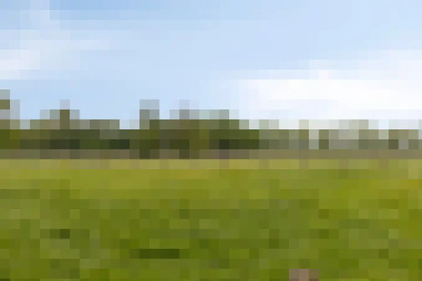 Beukenlaan 27 Woudenberg thumbnail 42