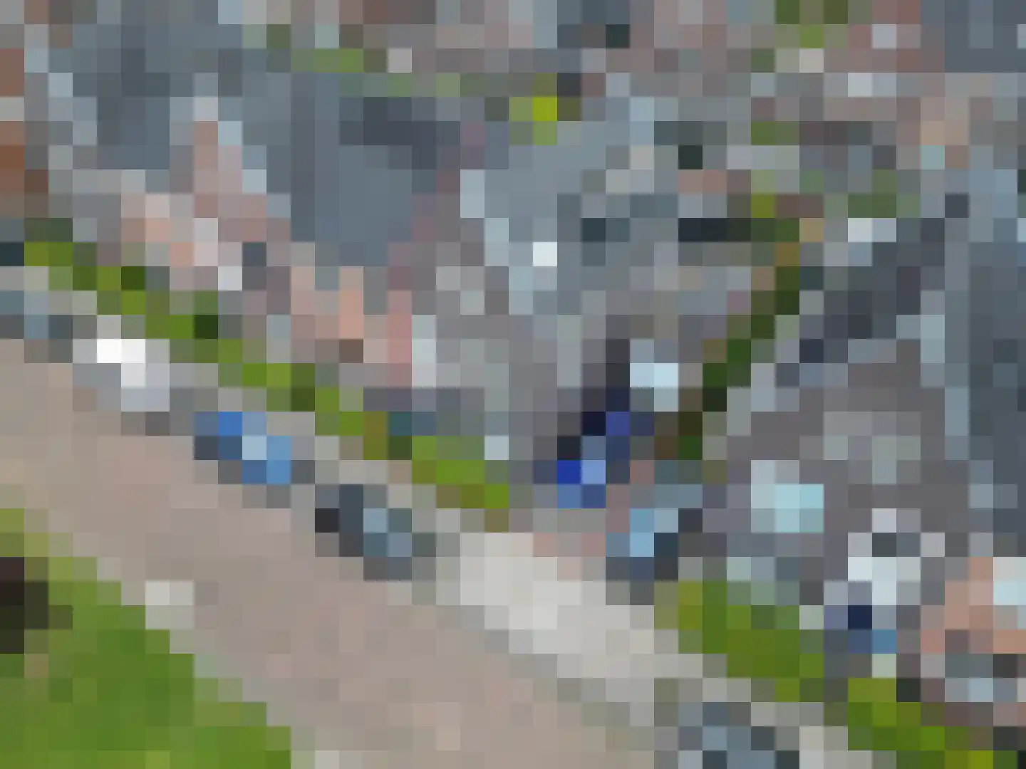 Beukenlaan 27 Woudenberg thumbnail 43